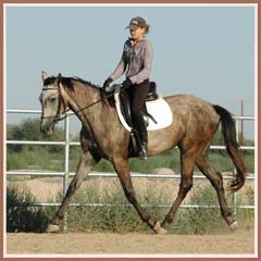 Bombay, ridden by Kailee Surplus, August 2007