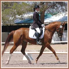 Horatio, ridden by Kailee Surplus
