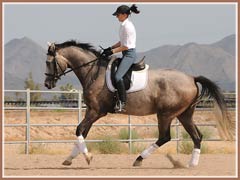 Kairro, July 2009, Kailee Surplus riding