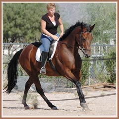 Linnea by Graditz, ridden by Aerron Smith