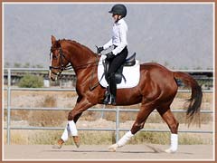 Solana, November 2010, ridden by Kailee Surplus