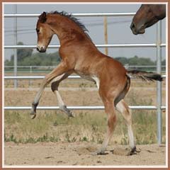 Talara having fun at 2 weeks old